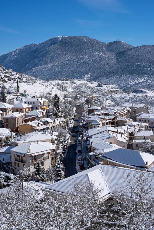 Paeonia Arachova Hotel Екстериор снимка