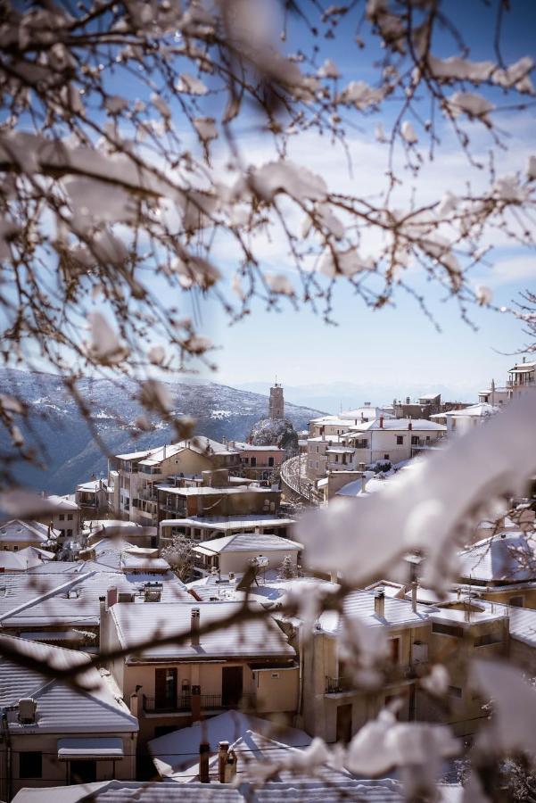 Paeonia Arachova Hotel Екстериор снимка